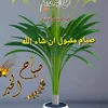 pureman.taher