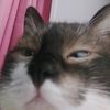 user971560404