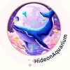 hideonaquarium