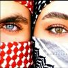 mahmoud.n.alshurafat