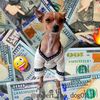 robert_the_dog01