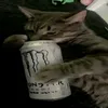 illovemethadone