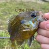 fishtok84
