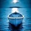 haseeb202