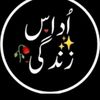 udaszindagi733
