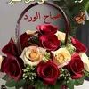 latifa3261