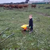La granja de Diego y Diana