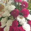 saadia.bouqdir
