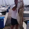 antoniogarridoveg