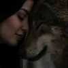 gfhbdhf