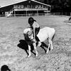 equestrian.j.xx