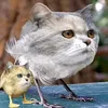 beasty421