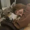 dfhrss