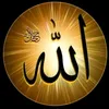 mhamadraber439