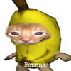 joacohp0