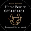 farrier.horse