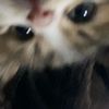 hanii_298