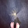 alessandra_zecchini