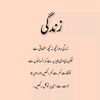 naveedhussainhus2