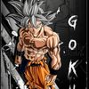 angelbro3606