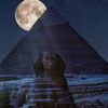 ahmed.mohamed3946