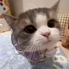 munneahih