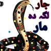 afnan_wazir4