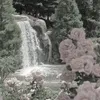 diya.ahmed4