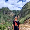 wing_asistido
