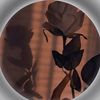 _esmer_hasani