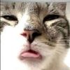 nixflix_3