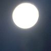 presidenke_9