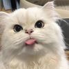 sweetysz_
