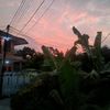 crazy.street5