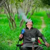 princeshinwari65