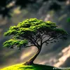 ramzes.kawkaz