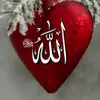 anjum.bhatti6