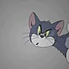 wq_.t