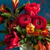 nour.noor93