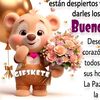lisaylene
