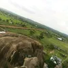 petrodominick0