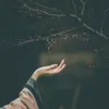 handgg8