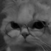 user48561002492393gghnv