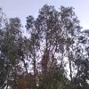 mohammed_simo3