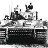 tigervi.i