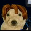 thehams_of