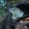 usermontha53815