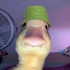 ajj_142