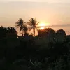 clacla_589