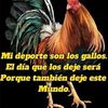 wilson.torres052